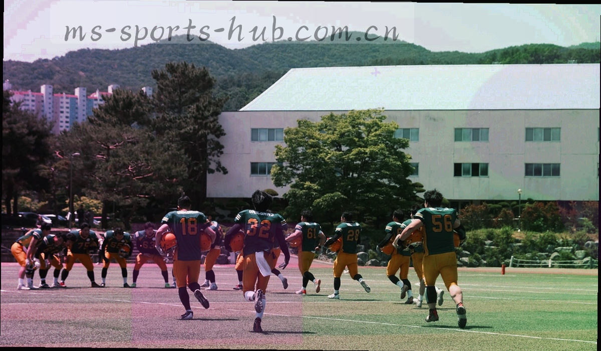 档案标签与条文纹理叠加的抽象画面，无可读文字